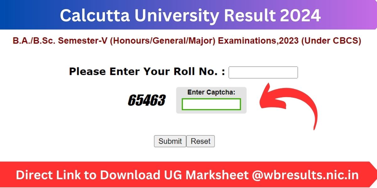 Calcutta University Result 2024: Direct Link to Download UG Marksheet @wbresults.nic.in