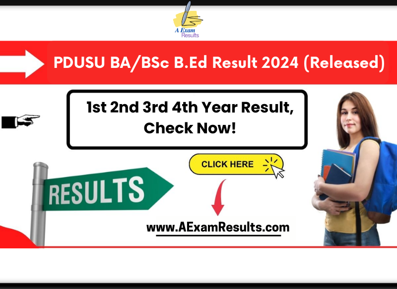 PDUSU BA/BSc B.Ed Result 2024 (Released)